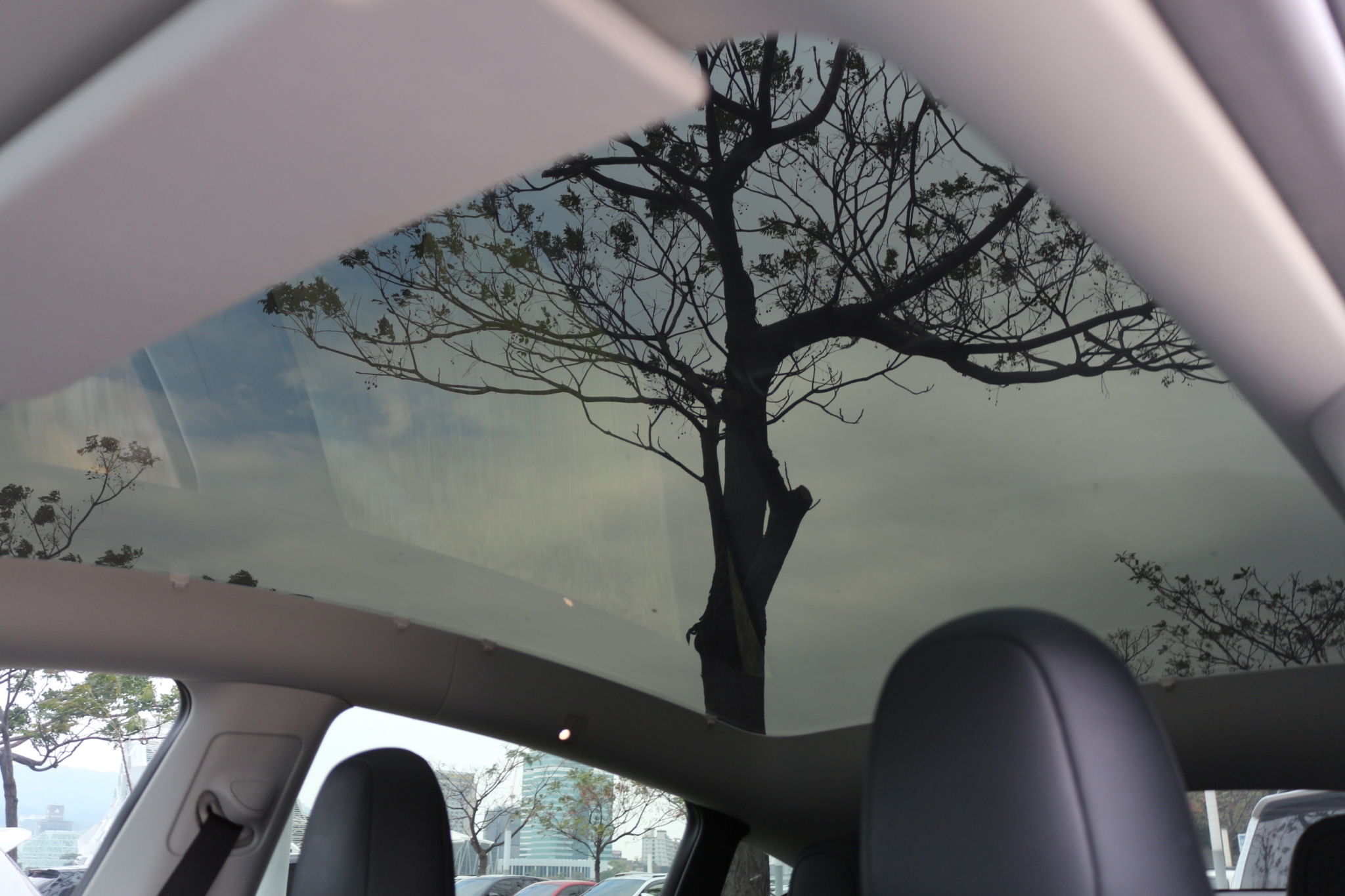 Tesla  Model Y Long Range AWD_2024 - 圖片 7